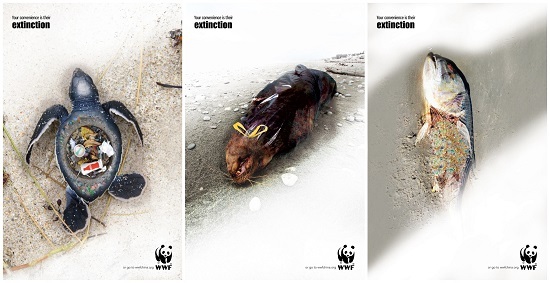 隨手一丟,就是謀殺!那些被垃圾戕害的海洋動物